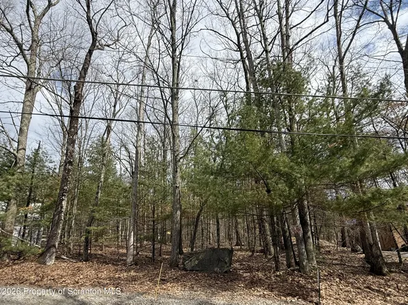 37R Lake Mode Dr, Tafton, PA 18464