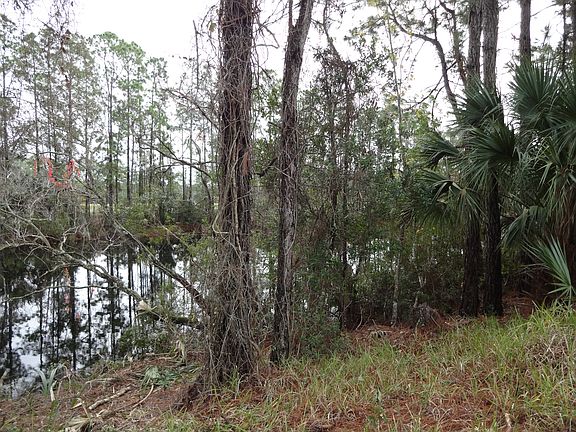 5th image of 99 Port Royal Dr