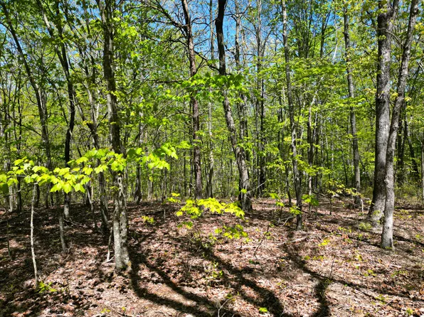 213 Sunset Bluff Way Lot 45, Monteagle, TN 37356