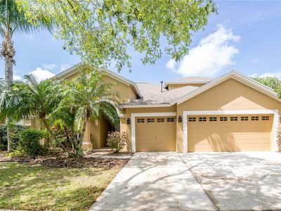 8376 Golden Prairie Dr, Tampa, FL, 33647
