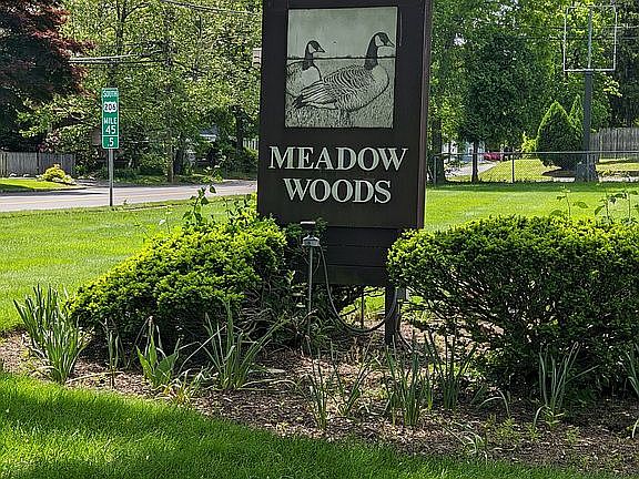 2nd image of 215 Meadow Woods Ln