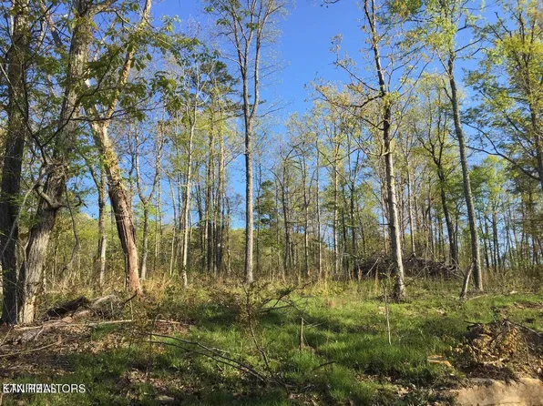 0 Bench Rd, Pikeville, TN 37367