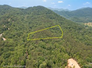 0 Cedar Falls Dr LOT 5, Lake Lure, NC 28746