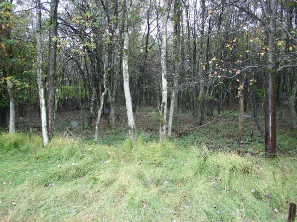 Chesapeake Trl, Albrightsville, PA 18210