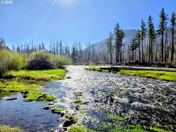 52912 McKenzie Hwy, Blue River, OR 97413