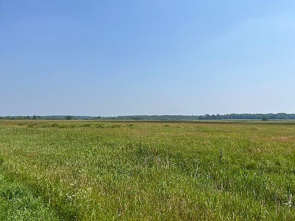4th image of 61796 County Highway 40