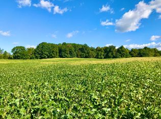 Foust Rd, Osseo, MI 49266