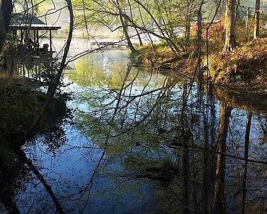 4th image of Tbd N Lake Rosemound Rd