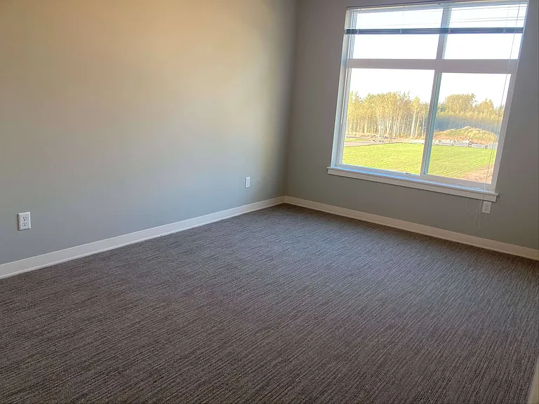 Maple Maple