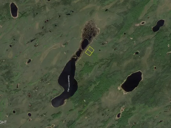 L8 B Geskakmina Ln #2, Manley Hot Springs, AK 99756