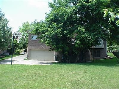 Partially shaded back yard