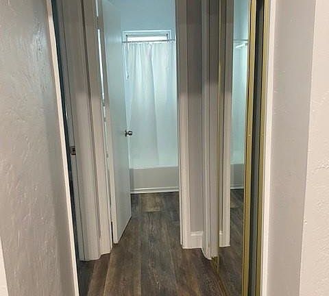 5th image of 4237 Bougainvilla Dr APT 3