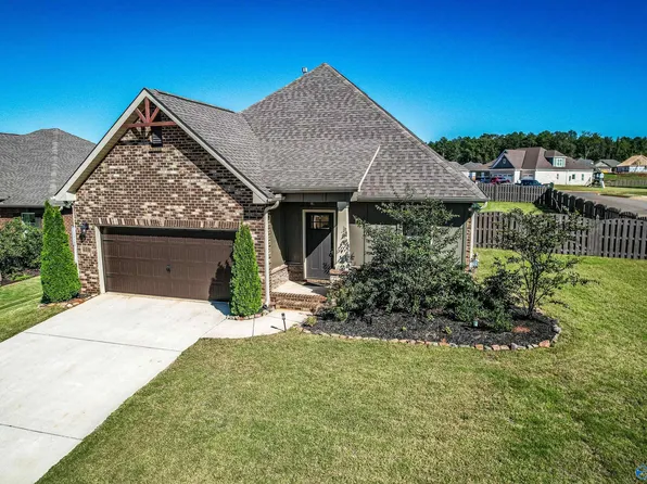 100 Pandilla Dr, Madison, AL 35756