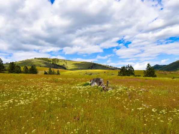 2 Henry Creek Rd, Plains, MT 59859