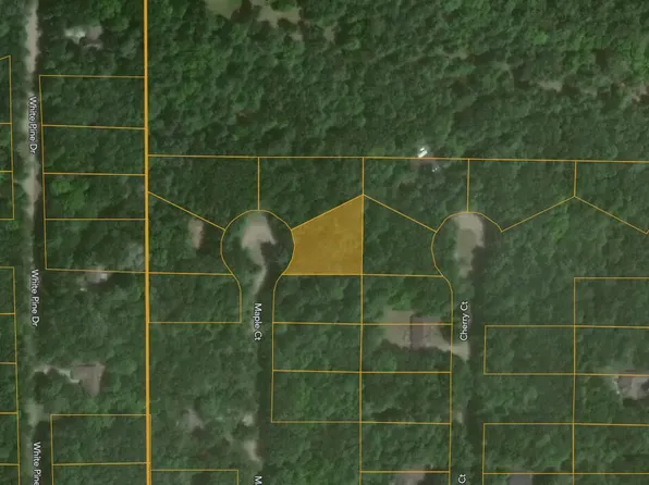 6824 Maple Ct, Stanwood, MI 49346