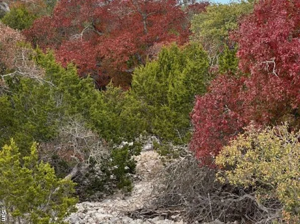 TBD SD24910, Rocksprings, TX 78880