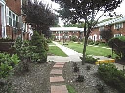 3rd image of 45 Wilfred St