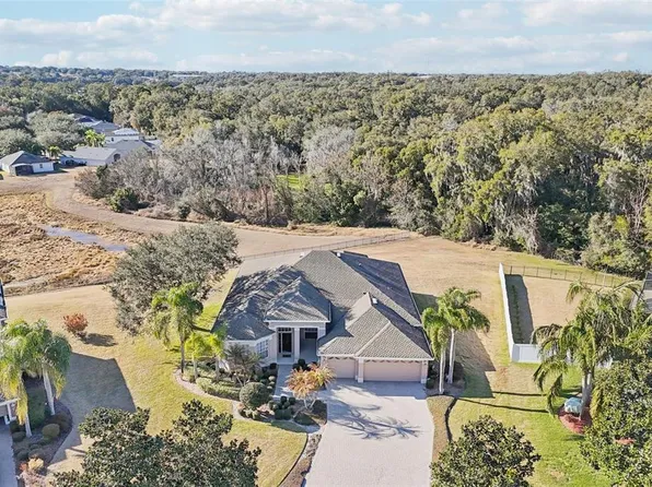 6114 Tremayne Dr, Mount Dora, FL 32757