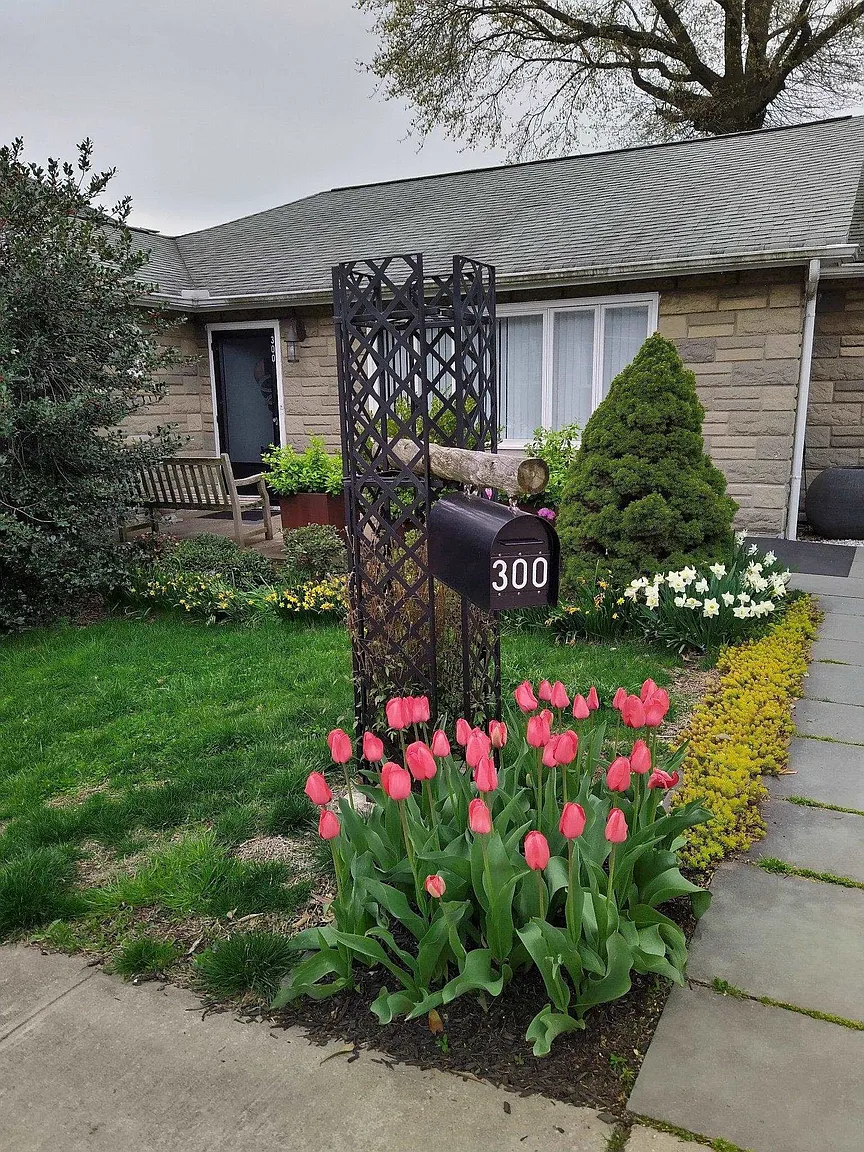 300 Lincoln Ave photo 1