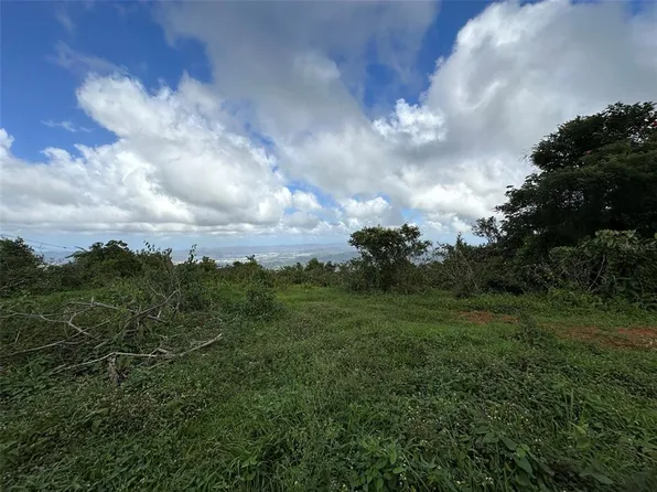 Bo Beatriz Fincas Mi Recreo 3 Carr #1, Caguas, PR 00725
