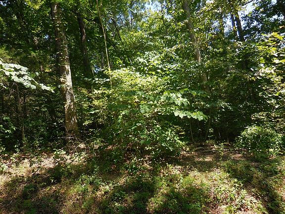4th image of 68 Sandy Point Ln Lot 68