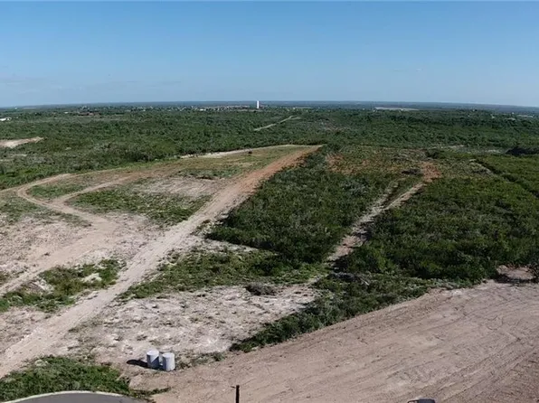 147 El Mesquite Ln, Rio Grande City, TX 78582