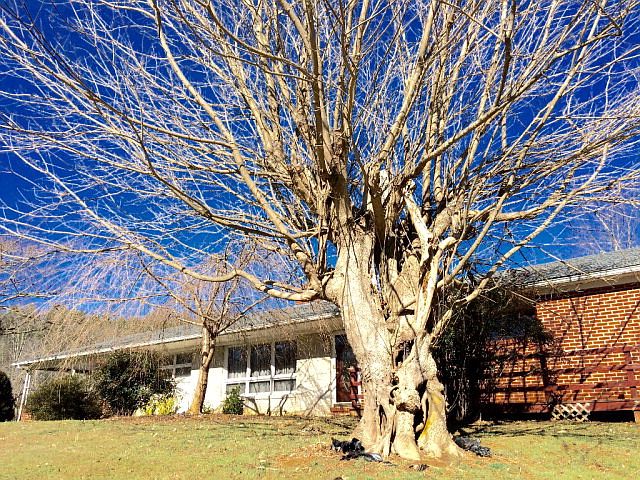 1st image of 26 Christmas Tree Ln