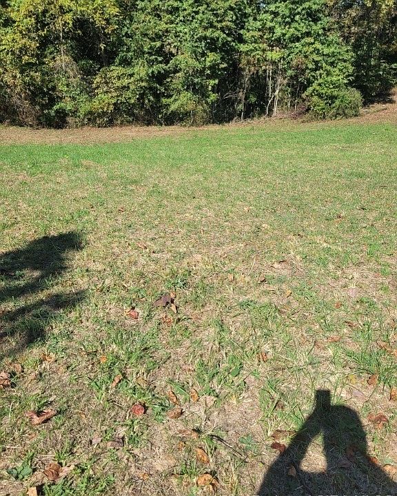 2nd image of 4525 New Middletown Elizabeth Road SE