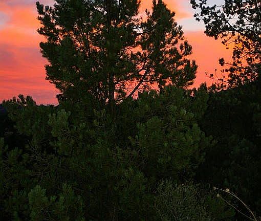 Sunsets