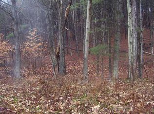 1299 Hogback Rd, Lowman, NY 14861