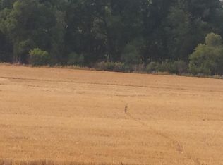 239 Wilson Butte Rd, Great Falls, MT 59405