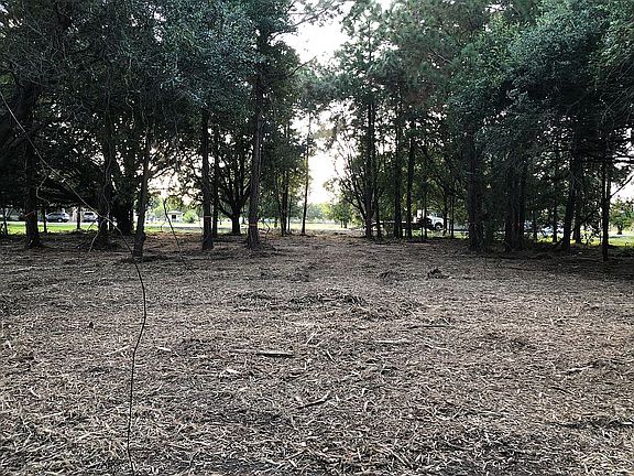 Rear interior view to street