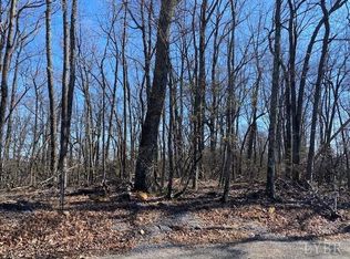 0 Fosters Knob Rd LOT 4, Blue Ridge, VA 24064