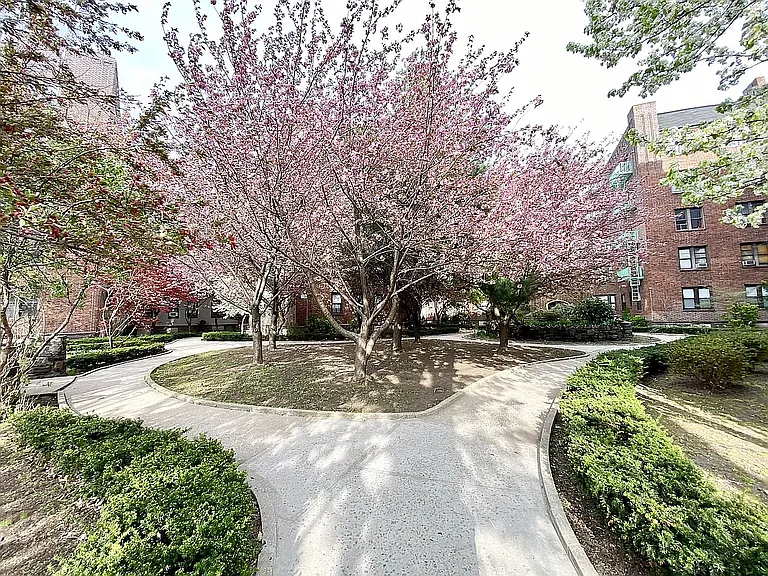 3451 Giles Pl #W4 — Photo 5