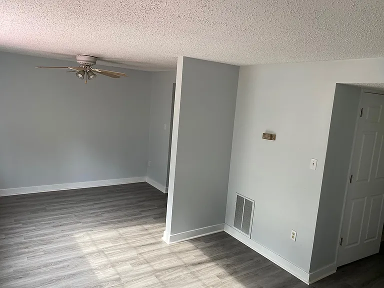 9732 Springfield Woods Cir — Photo 23