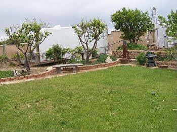 South~east corner of backyard