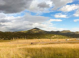 5915 County Road 11, Florissant, CO 80816