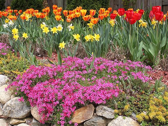 amazing gardens- summer long