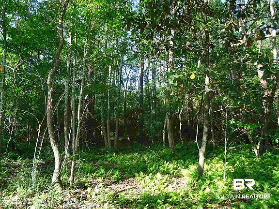 4th image of 0 Hammock Rd