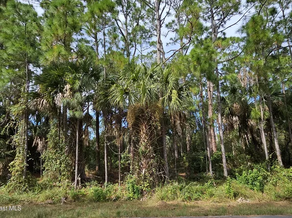 817 Reading St SE, Palm Bay, FL 32909