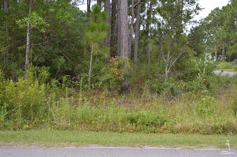 1st image of Oak Crest Drive LOT 203