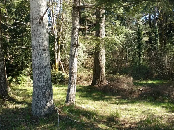 250 E Annas Way, Shelton, WA 98584