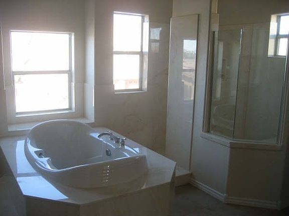 Master Bath with Jacuzzi tub