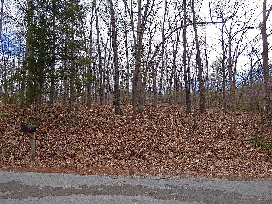 1st image of Wyandotte Dr