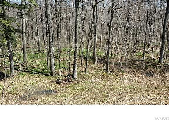 4th image of 12484 Church Rd