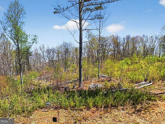 2nd image of 0 Twisted Oak Rd #440