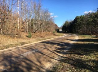 125 W Adams Rd, Pentwater, MI 49449