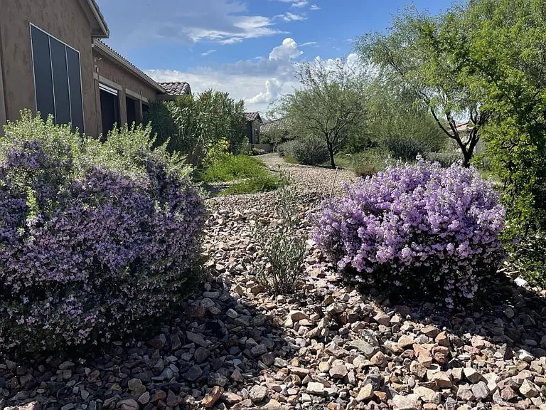 View from patio back
