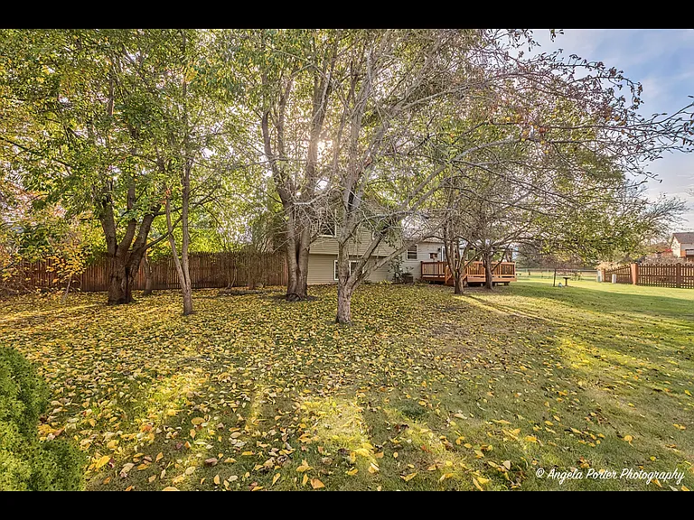 203 Springbrook Ct — Photo 20