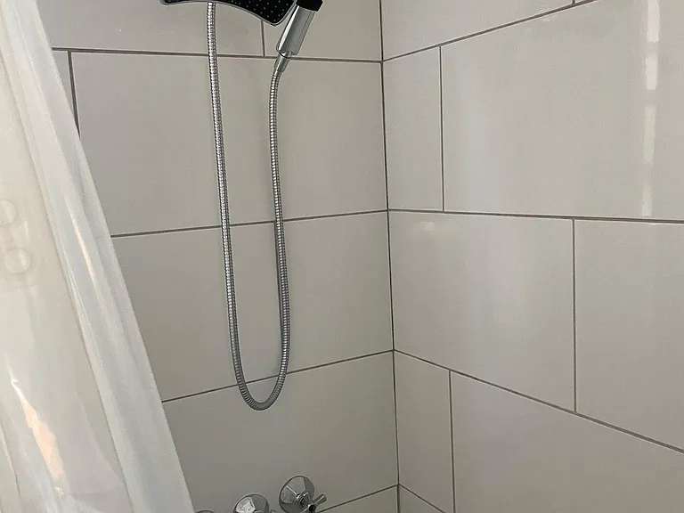 Bathroom tub and shower